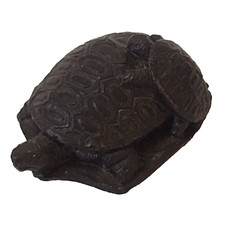 Baby turtle turtle for sale  ILFORD