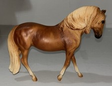 mare andalusian for sale  Newark