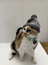 Gray white hat for sale  Spanaway