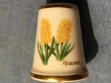 Thimble hyacinth royal for sale  KILMARNOCK