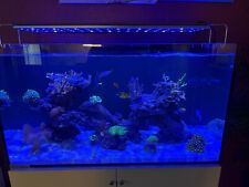 Aquaperfect reeflight meerwass gebraucht kaufen  Harsum