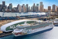 Cartão presente certificado NCL Norweigan Cruise primeiro $300 comprar usado  Enviando para Brazil