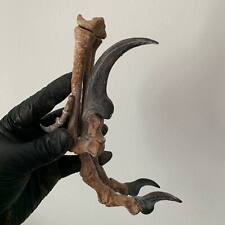 Replica velociraptor zampa usato  Spedire a Italy