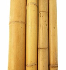 Bambusrohr 180 5 gebraucht kaufen  Völklingen