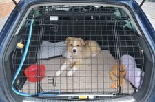 Barjo tailgate dog for sale  WESTON-SUPER-MARE