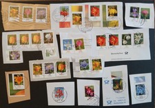 Lot dauerserien blumen gebraucht kaufen  Süderlügum