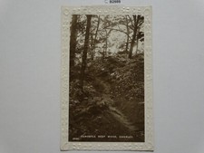 Throstle nest wood for sale  UK