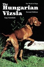 Hungarian vizsla gottlieb for sale  ROSSENDALE