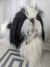 Shih tzu dog d'occasion  Expédié en Belgium