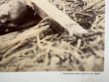 Japan earthquake 1891 d'occasion  Aix-les-Bains