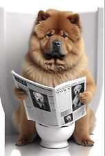 Chow chow toilet for sale  DUNSTABLE
