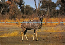 D001743 wild life. for sale  WARLINGHAM