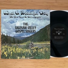 Usado, SAGINAW VALLEY GOSPEL SINGERS What a Beautiful Day... Private Gospel LP, Midwest comprar usado  Enviando para Brazil