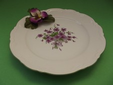 Mitterteich porzellan speisete gebraucht kaufen  Bürgstadt