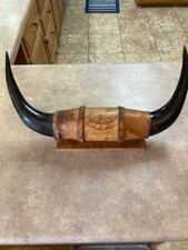 Hand mounted bull for sale  Lindsay