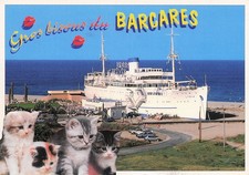 Barcares pyrenees orientales d'occasion  France