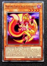 Martora gialla della usato  Venezia