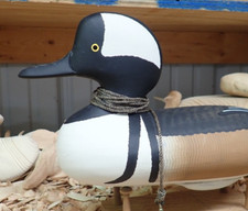 Bryan bodt hooded for sale  Millington