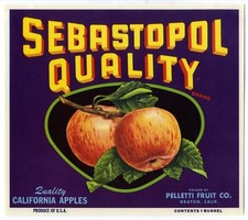 Sebastopol quality original for sale  Lone Tree