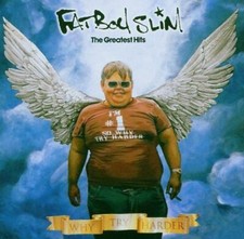 Fatboy slim why gebraucht kaufen  Berlin