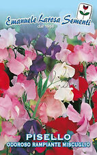 Semi seeds lathyrus usato  Morra de Sanctis