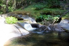 Stillwagon placer gold for sale  La Quinta