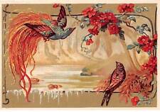 Chromos cor14220 oiseaux d'occasion  France