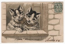 Katzen prägekarte süße gebraucht kaufen  Stollberg, Niederdorf