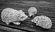 Steinfiguren igel family gebraucht kaufen  Frankfurt (Oder)