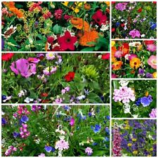 Auswahl wildblumenwiese schmet gebraucht kaufen  Oschersleben (Bode)
