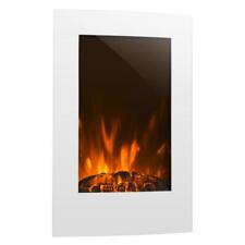 Ware elektrischer kamin gebraucht kaufen  Kamp-Lintfort