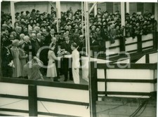 1946 belfast princess usato  Milano