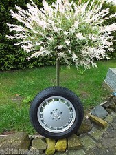 Mercedes w201 w124 gebraucht kaufen  Winterberg