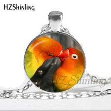 conure parrot for sale conure parrot for sale LANCING