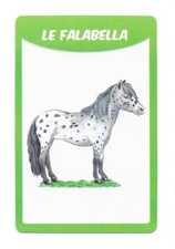 Carte races chevaux d'occasion  Nancy-