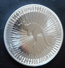 Känguruh 2022 silber gebraucht kaufen  Niederwinkling