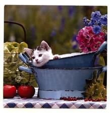 Carte chat réveil d'occasion  Basse-Goulaine