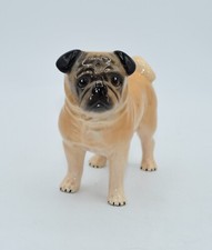 pugs for sale pugs for sale WORTHING