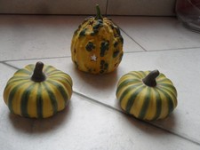 4teilige herbst deko gebraucht kaufen 4teilige herbst deko gebraucht kaufen  Großenlüder