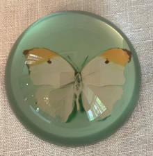 damien hirst for sale damien hirst for sale Brookline