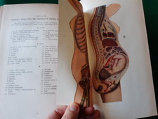 Enciclopedia medica per usato  Marino