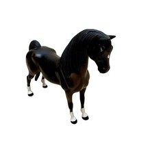 Vintage morgan stallion for sale  Remsen