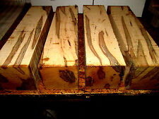 Four ambrosia maple for sale  Brazil