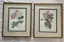 Large bombay company for sale  Lusby