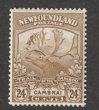 Newfoundland 1919 24c for sale Newfoundland 1919 24c for sale  COVENTRY