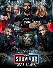 Wwe survivor series gebraucht kaufen  Berlin