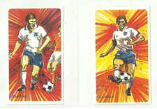 Colin todd shredded for sale  BEVERLEY