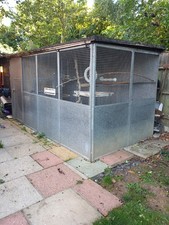 Large parrot bird for sale  KING'S LYNN