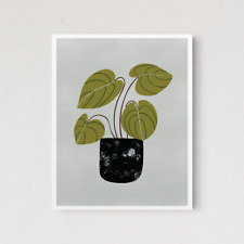 Peperomia 17x22 d'occasion  Expédié en France