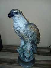 Schwerer adler als gebraucht kaufen  Nürnberg